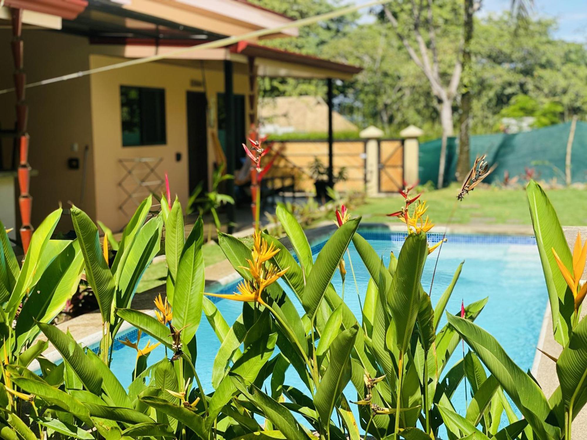Brahman Bungalows On Pavones Point Quarto foto